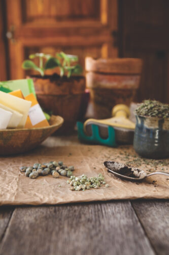 Organize a Seed Swap